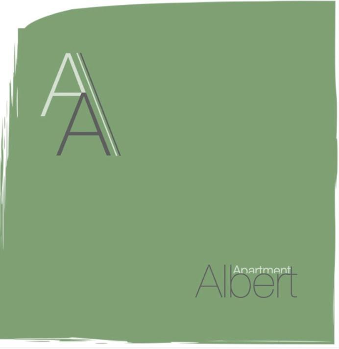 Apartment Albert Carcassonne Buitenkant foto