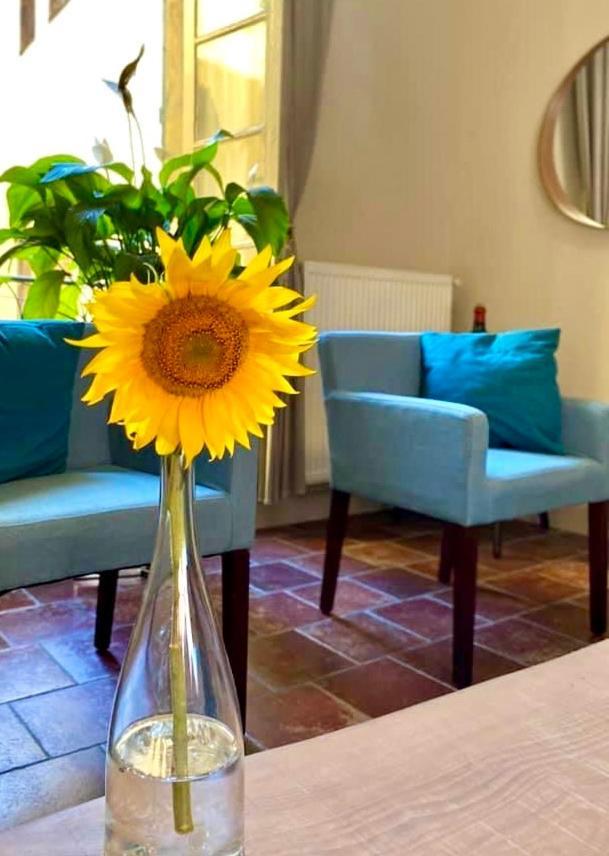 Apartment Albert Carcassonne Buitenkant foto